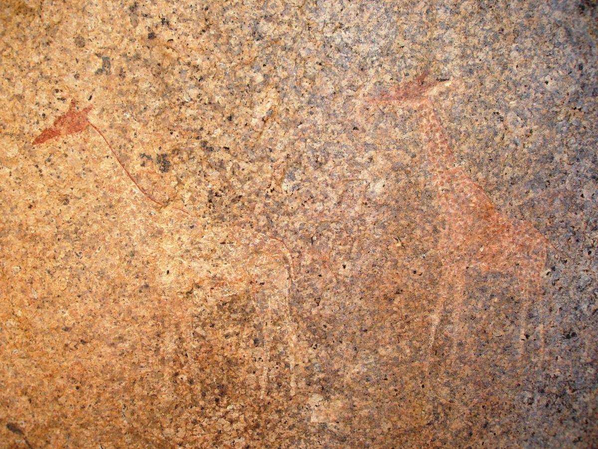 Ai Aiba - The Rock Painting Lodge Omaruru Kültér fotó